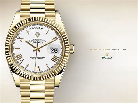 rolex data ch|rolex watch information.